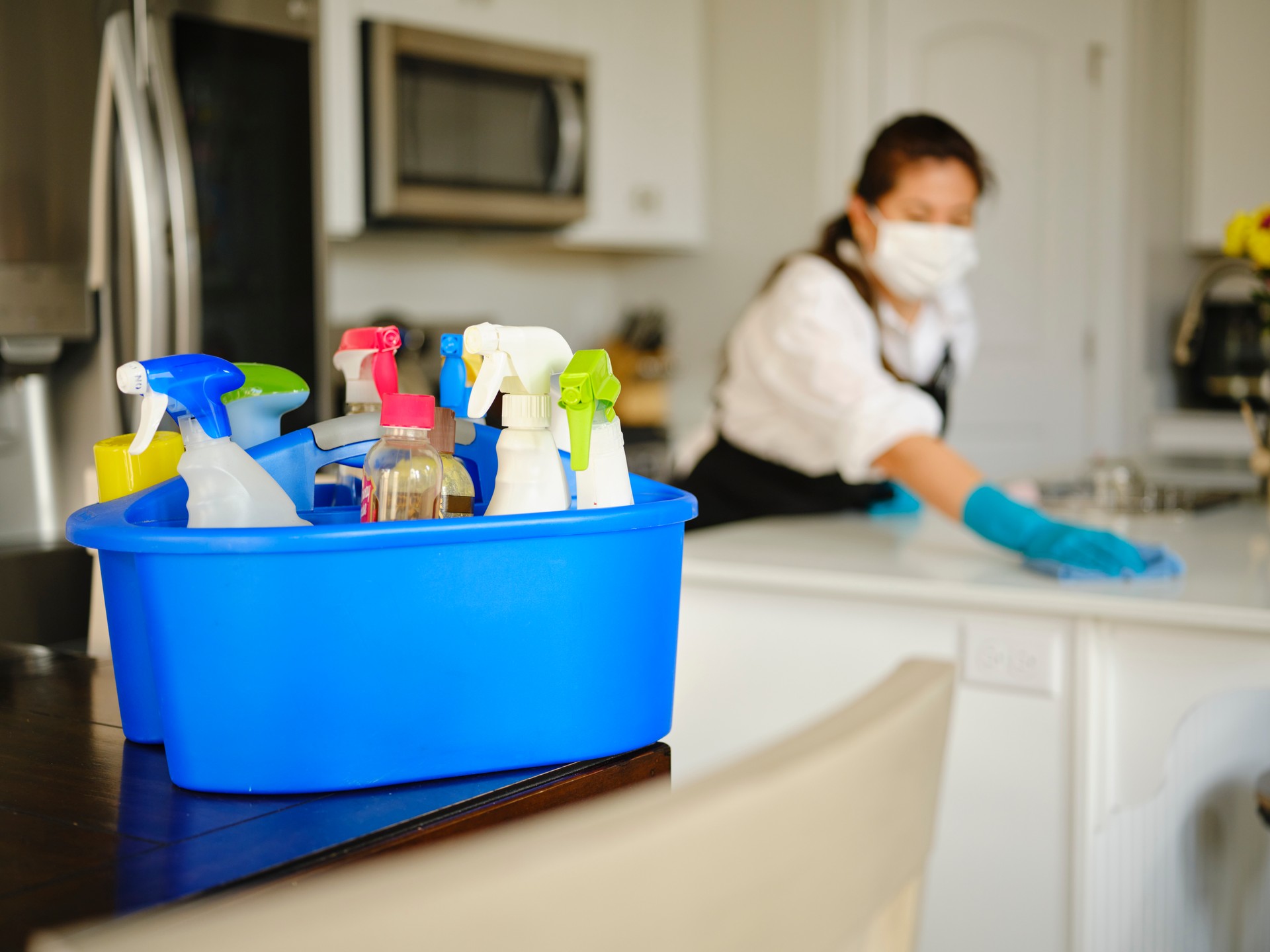 Professional Housecleaner at Work Professional Housecleaner at Work